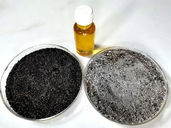 black seed oil sample in the laboratory