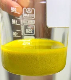 thyme sample in the laboratory